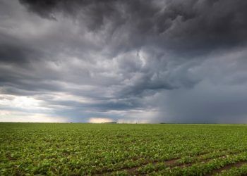 Condições climáticas no País podem impactar início da safra agrícola 2023/2024.