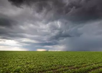 Condições climáticas no País podem impactar início da safra agrícola 2023/2024.