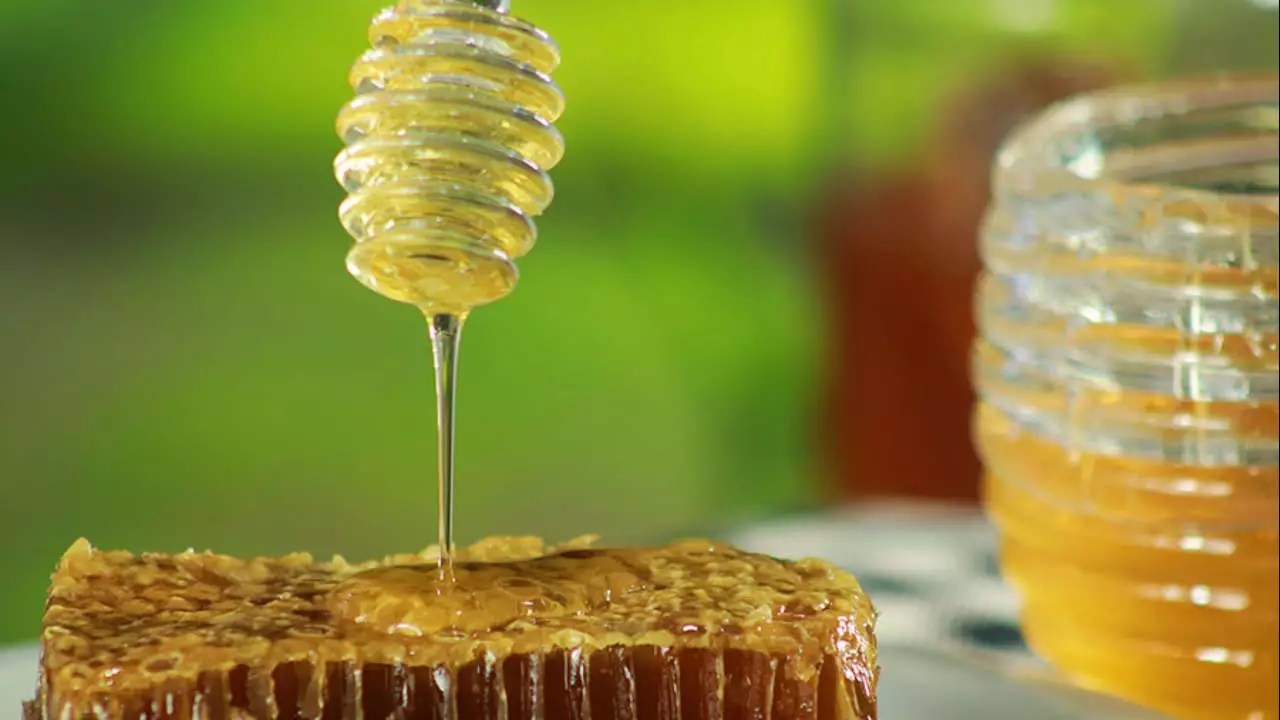 Dentro do Infobee o “zapbee” responde às dúvidas de criadores de abelhas. 