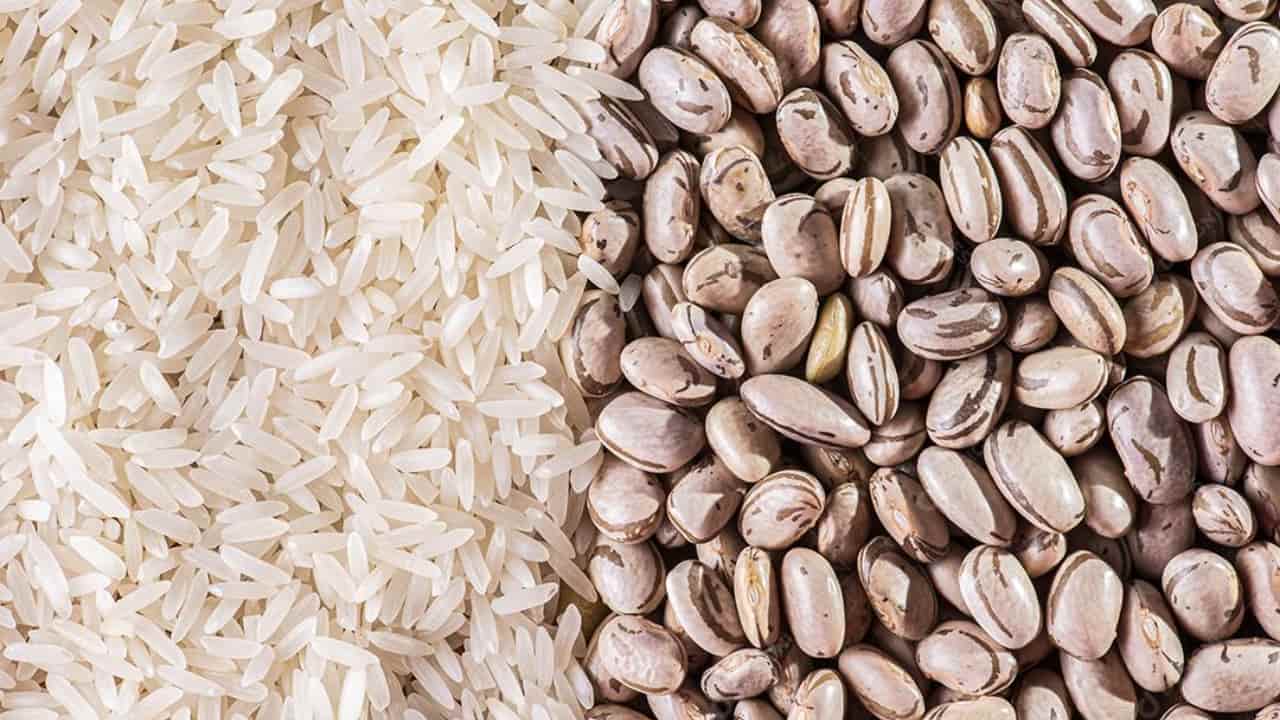 Destaque para recuperação da produção de arroz e feijão. 