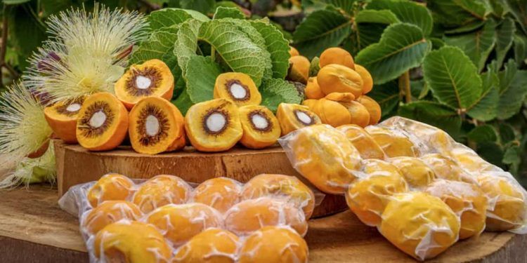 Festa celebra a tradição do fruto para os goianos.