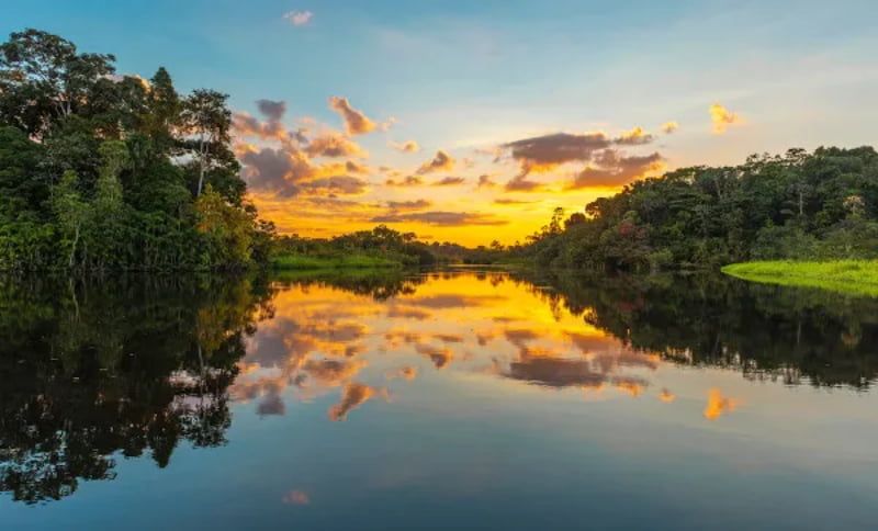 Floresta na Amazônia