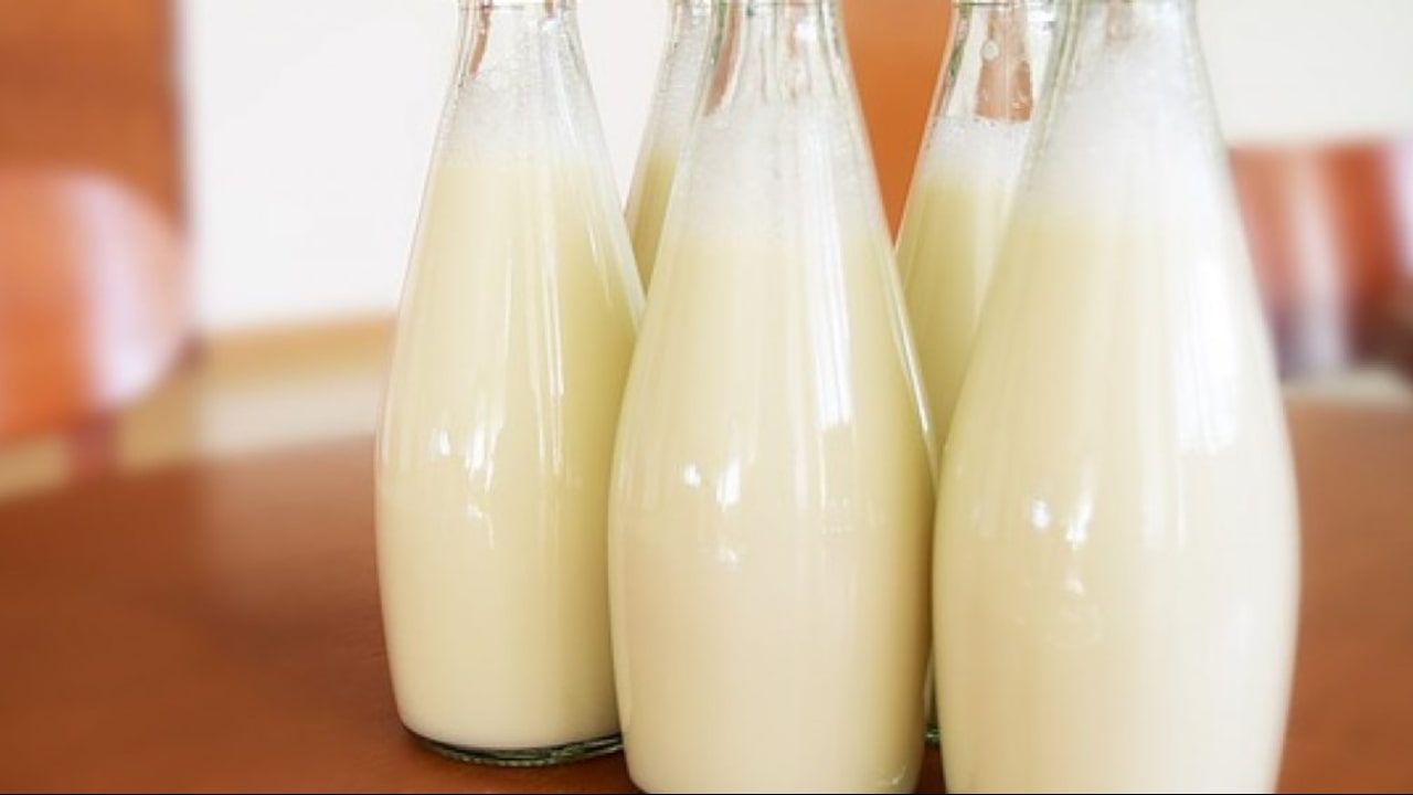 Maior oferta de lácteos e menor consumo interno fez preço ao produtor cair. 