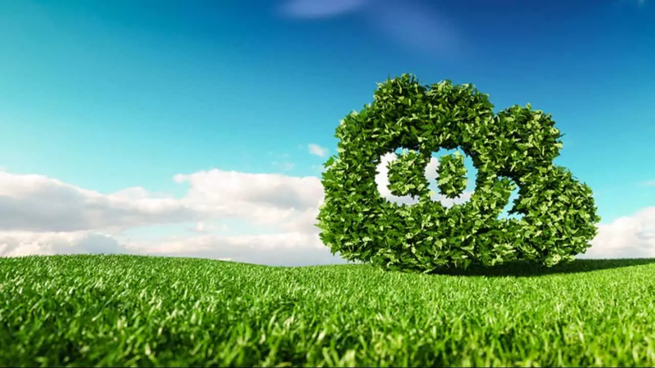 Mercado de carbono do agro estão dentro dos temas da COP28. 