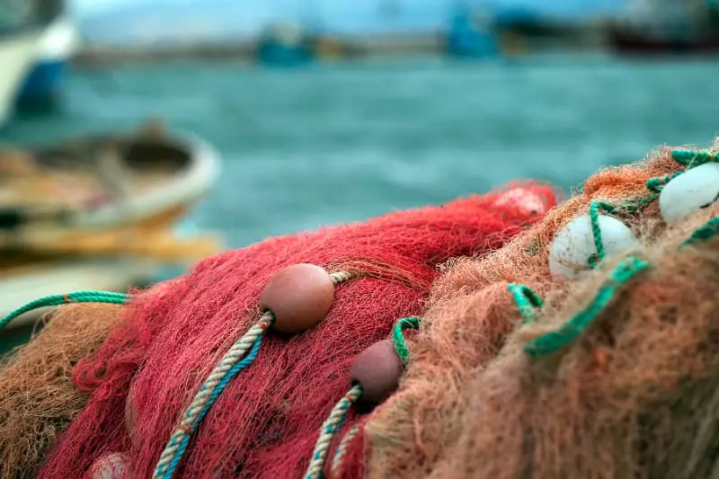 Pescado