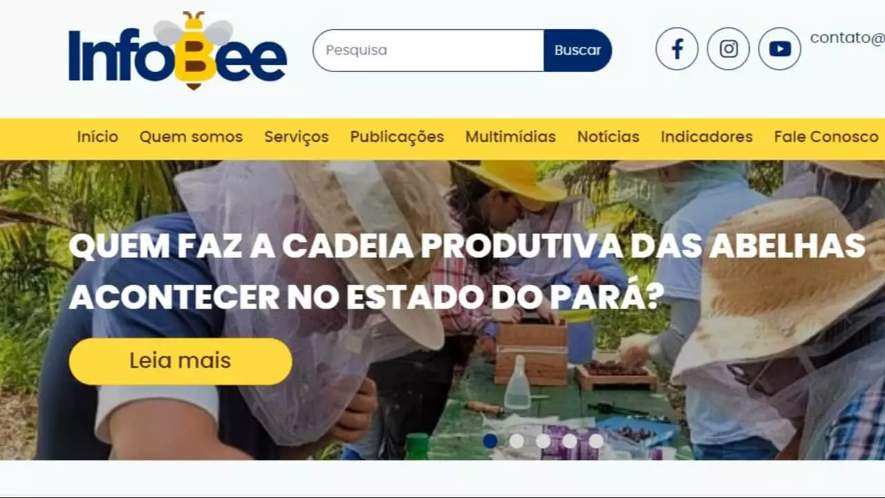 Plataforma reúne pesquisa agropecuária de apicultura e meliponicultura. 