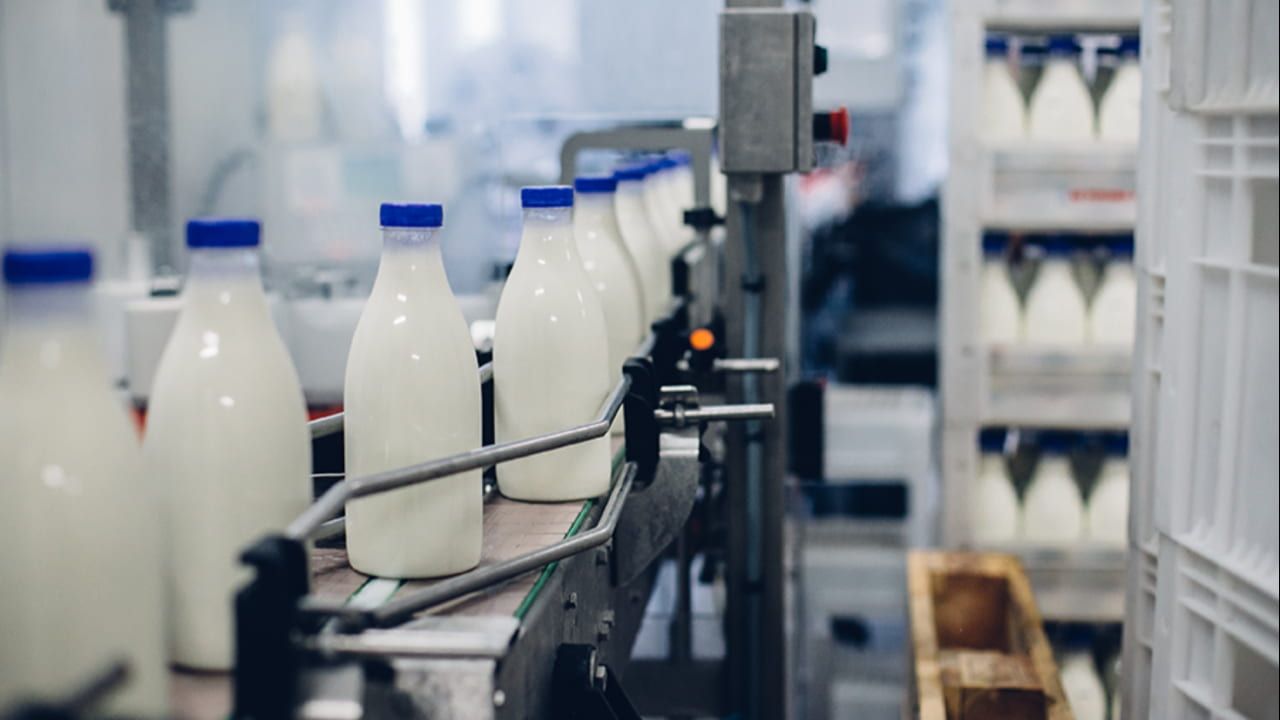 Produção de leite sofre com oscilações de mercado e precisa de investimentos. 