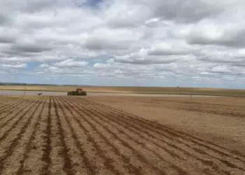 Com fim do vazio sanitário, plantio de soja segue até janeiro no Tocantins