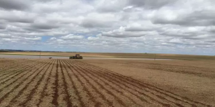 Com fim do vazio sanitário, plantio de soja segue até janeiro no Tocantins 1 Com fim do vazio sanitário, plantio de soja segue até janeiro no Tocantins