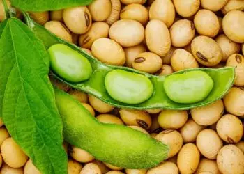 Tecnologia mostrou eficácia contra o fungo Phakopsora pachyrhizi, da ferrugem asiática.