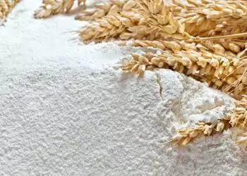 Brasil conquista abertura de novos mercados na Colômbia e no Japão; veja produtos