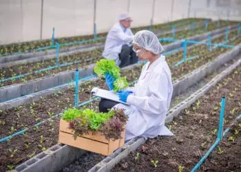 Brasil e Indonésia devem definir prioridades do comércio agrícola dos países