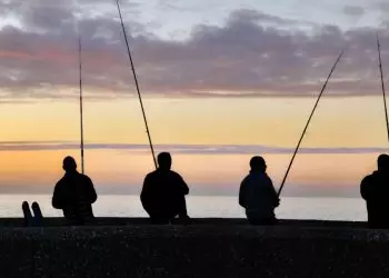 Brasil possui mais de 1 milhão de pescadores profissionais e 49% são mulheres