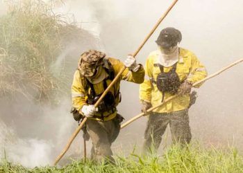 Brigadistas intensificam trabalho para combater incêndios no Pantanal