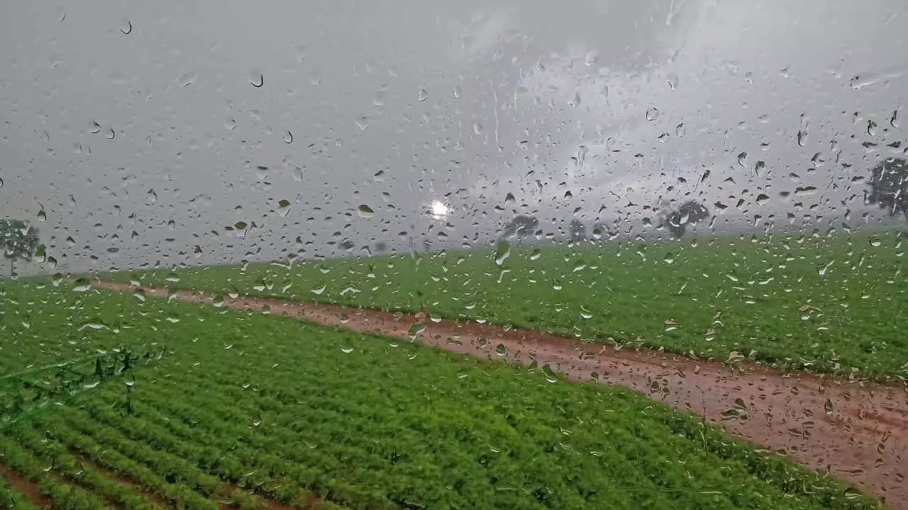 Centro e Sudeste deve ter pancadas de chuva no período.