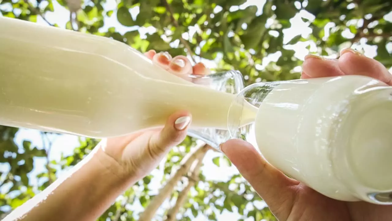 FCO Leite deve ser disponibilizado a partir de dezembro.