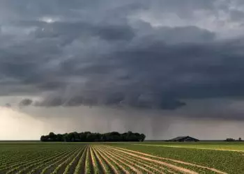 Inmet prevê que volume de chuva em 24h pode passar de 100 milímetros.