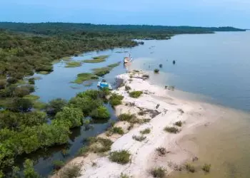 Projeto de lei deve facilitar regularização de terras na Amazônia