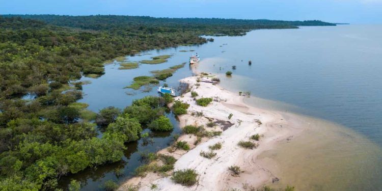 Projeto de lei deve facilitar regularização de terras na Amazônia