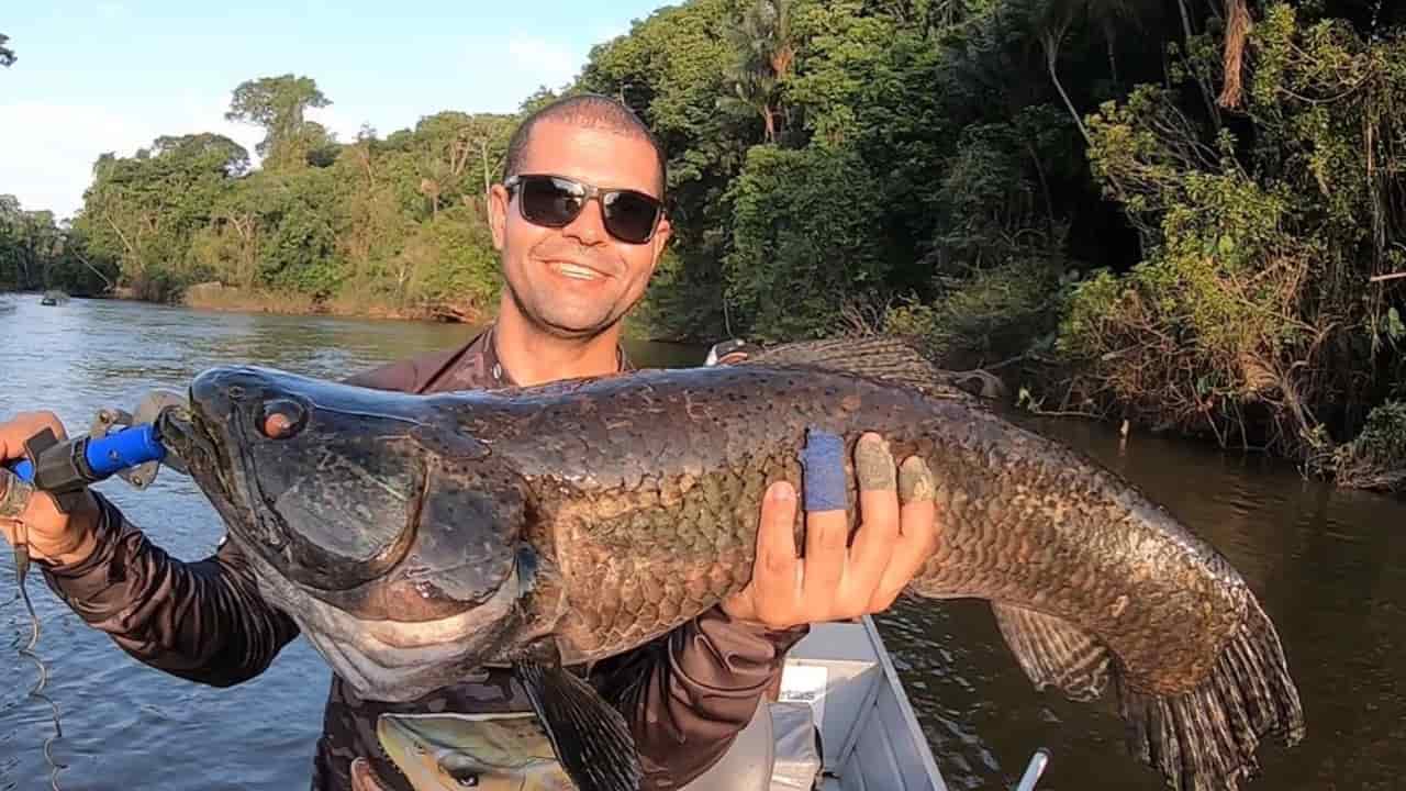 Turistas exibem peixes gigantes fiscados nos lagos da Ilha do Bananal e rio Araguaia. Foto: Divulgação