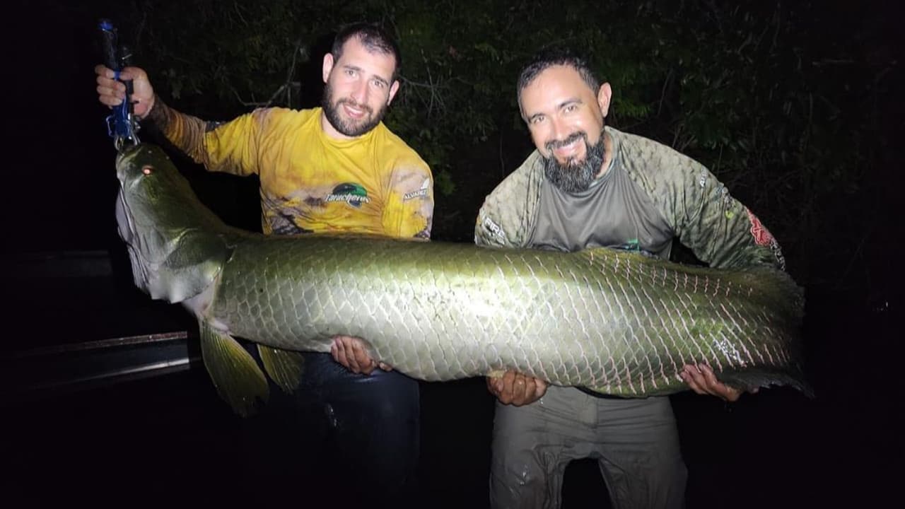 Turistas exibem peixes gigantes fisgados na Ilha do Bananal e Rio Araguaia