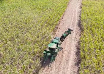 Valor Bruto da Produção atinge R$ 1,151 trilhão em outubro de 2023; confira