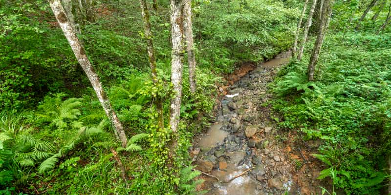 Projeto de lei deve facilitar regularização de terras na Amazônia