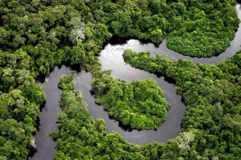 Desmatamento na Amazônia