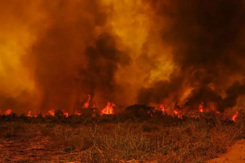 Incêndio no Pantanal 