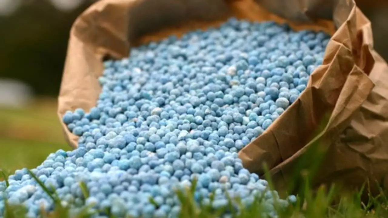 Meta é até 2050 produzir 50% desses insumos da agropecuária no Brasil. 