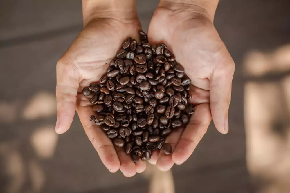 Rota do café