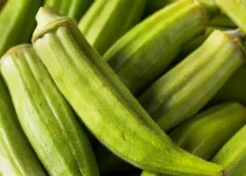 Aprenda como plantar quiabo e confira os nutrientes presentes no fruto