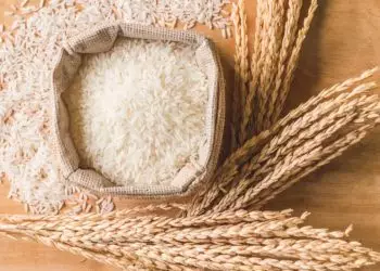 Arroz brasileiro conquista espaço no mercado queniano