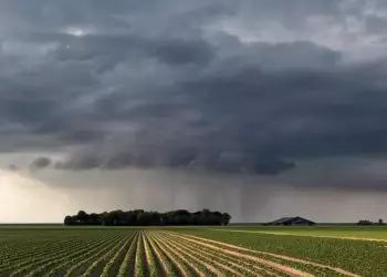 Centro-Norte tem possibilidade de bons volumes de precipitação.