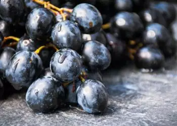 Confira como plantar uva no quintal de casa e as dicas para cultivá-las
