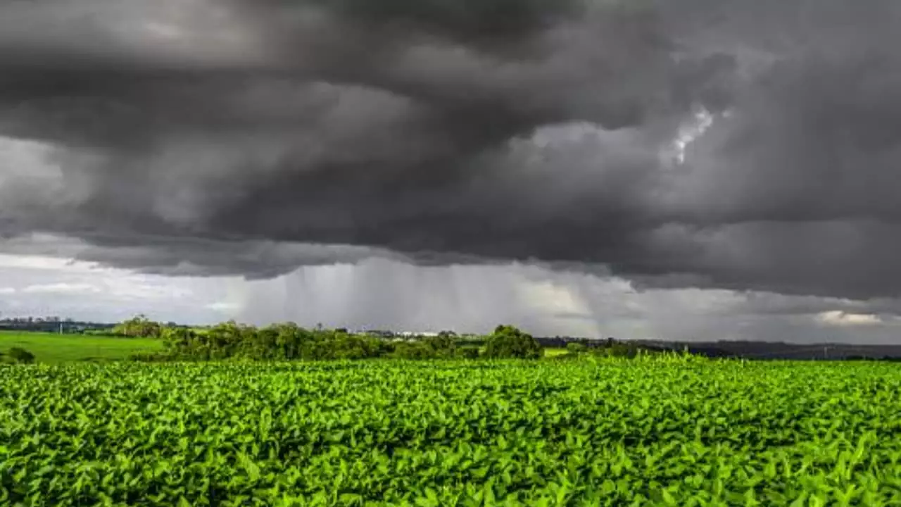 El Niño irá permanecer até o verão 2023/2024. 