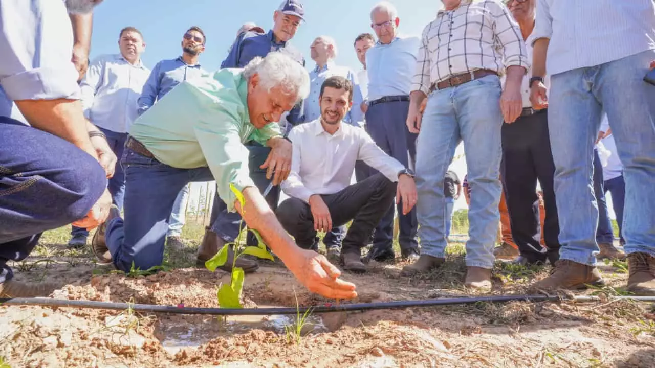 Governador Ronaldo Caiado e secretário Pedro Leonardo Rezende lançam o projeto em Flores de Goiás.