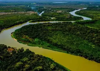 Lei do Pantanal é sancionada para manter a proteção e conservação do bioma