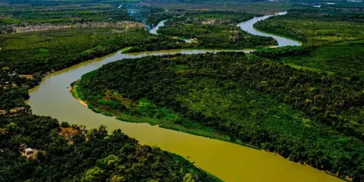 Lei do Pantanal é sancionada para manter a proteção e conservação do bioma 1 Lei do Pantanal é sancionada para manter a proteção e conservação do bioma