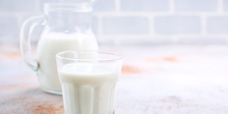 Linha de crédito especial é aprovada para produtores de leite do Brasil