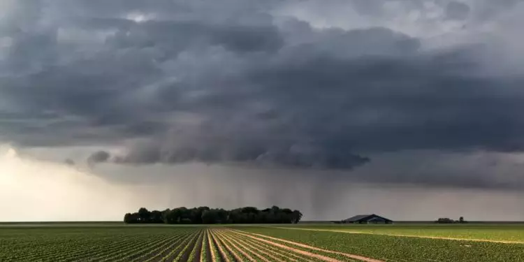 Previsão indica chuvas acima da média no Centro-Oeste, Sudeste e Nordeste em janeiro 1 Previsão indica chuvas acima da média no Centro-Oeste, Sudeste e Nordeste em janeiro