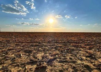 Nova onda de calor atinge diversos estados a partir desta quinta (14)