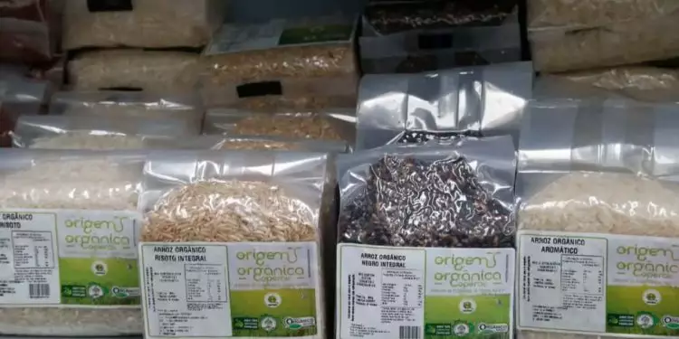 Vendas de produtos orgânicos crescem 30% no país; confira os alimentos 1 Vendas de produtos orgânicos crescem 30% no país; confira os alimentos