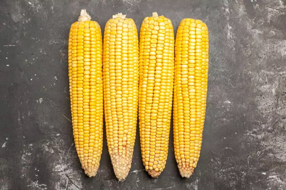 alimentos de origem vegetal