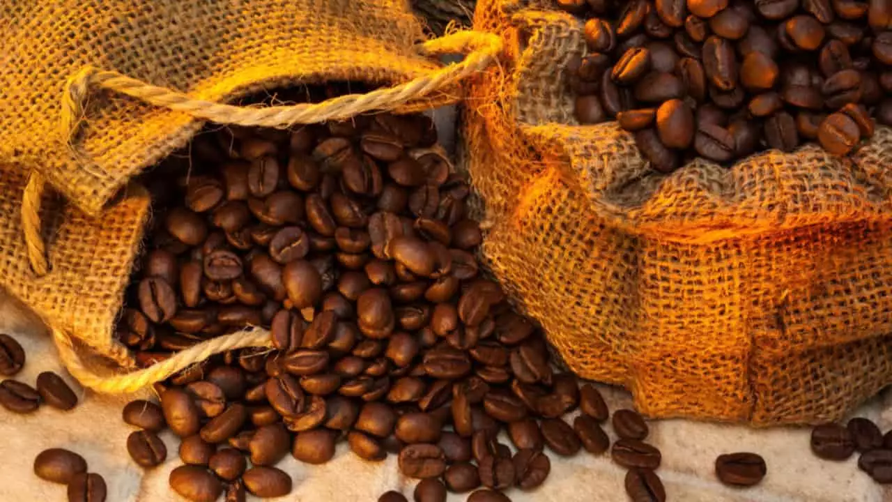 Alta foi impulsionada pela produção de café arábica, que teve condições climáticas favoráveis.