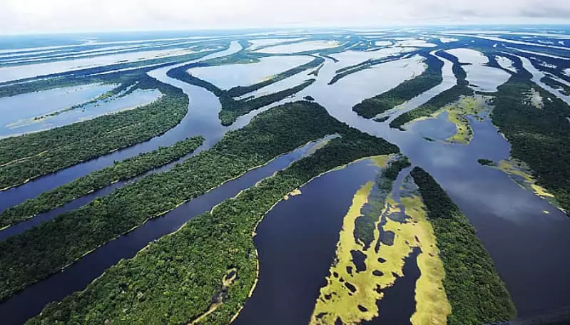 Bacia Amazônica