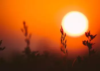 Calor ficou acima da média em julho, agosto, setembro, outubro e novembro.