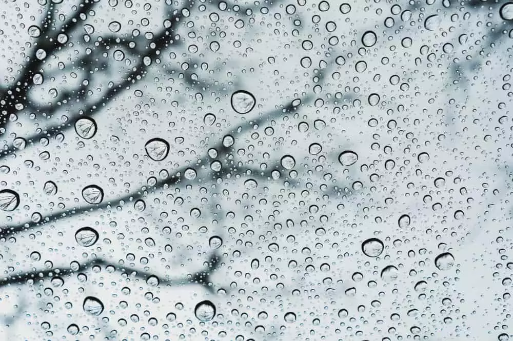 Previsão indica chuvas acima da média no Centro-Oeste, Sudeste e Nordeste em janeiro 3 possibilidade de chuvas em janeiro