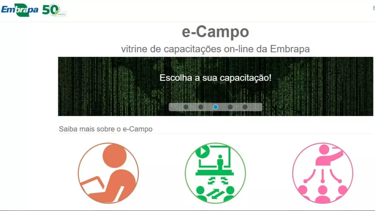 Inscrições são gratuitas na plataforma e-Campo. 