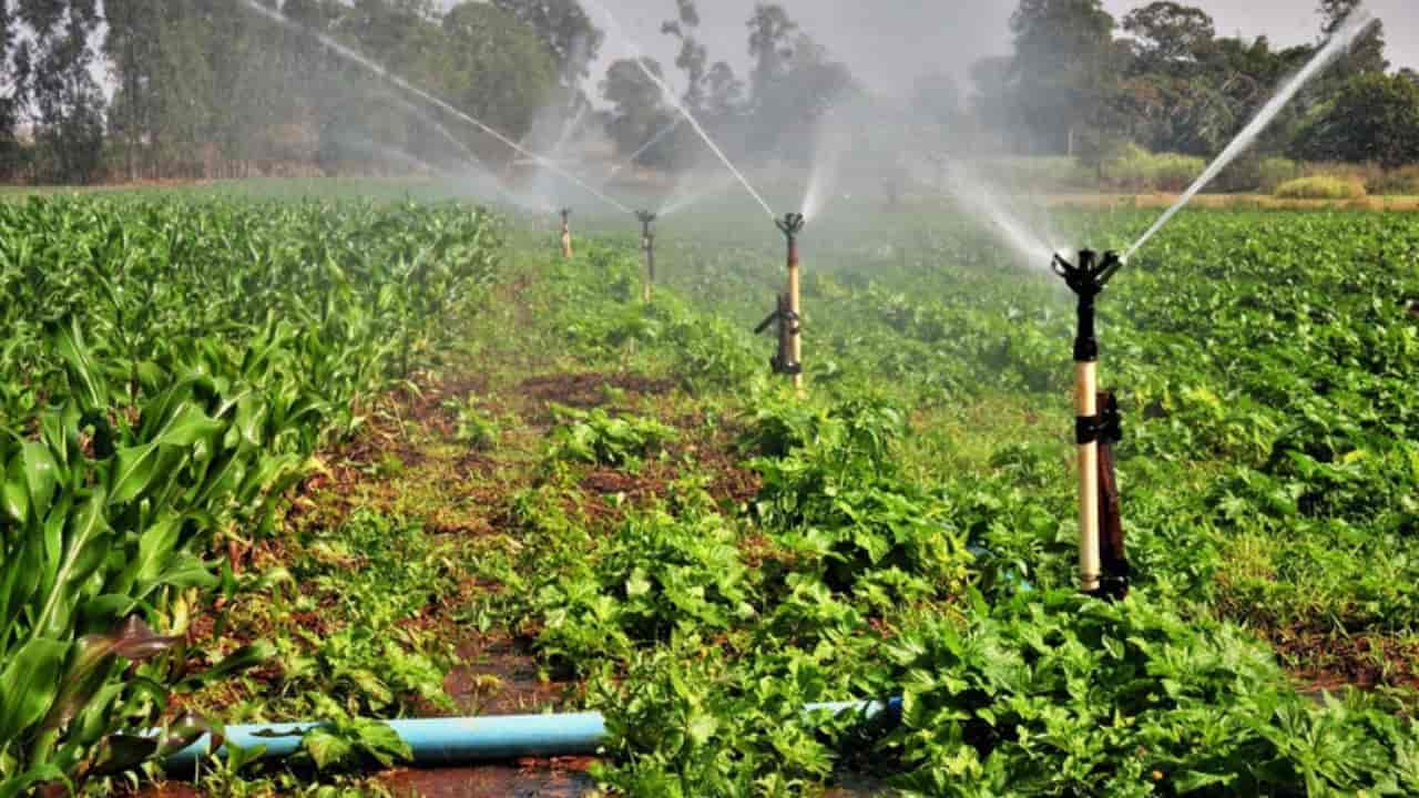 Método de irrigação ensina como preservar os recursos hídricos disponíveis. 